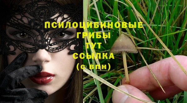 спиды Алзамай