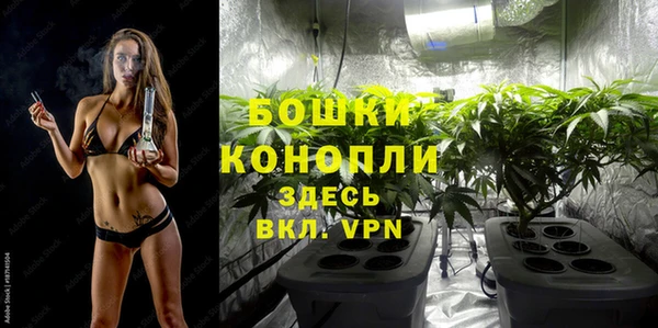 бошки Алексеевка